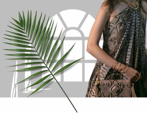 女星同款竟顯胖，胖太太服飾為何持續走紅？